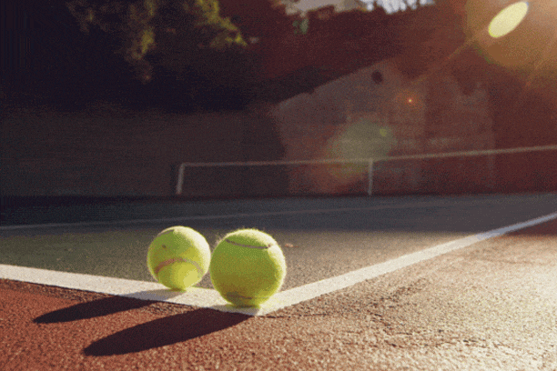 Pelotas de Tenis| Deportes Halcon